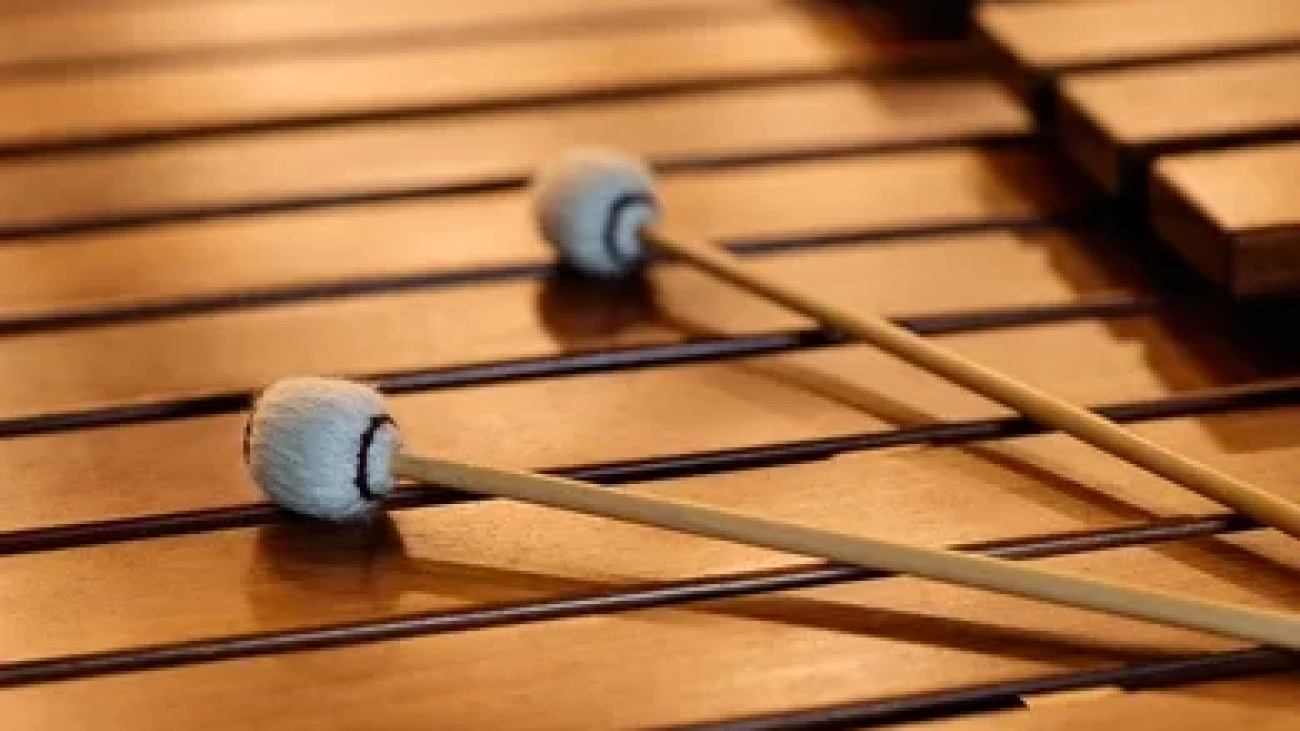 marimba-mallets-on-percussion-instrument-260nw-1009258150